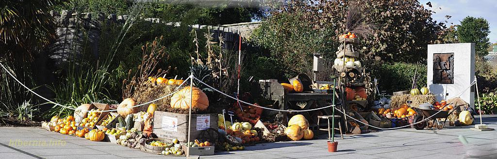 Панорама без названия6