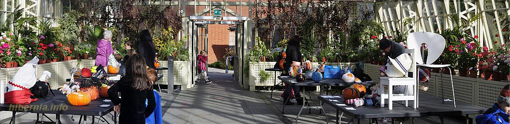 Панорама без названия5