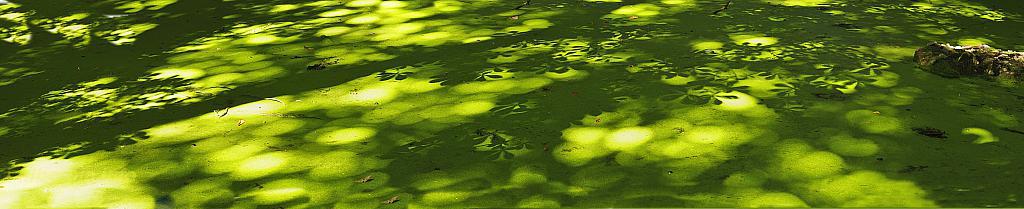 Панорама без названия1