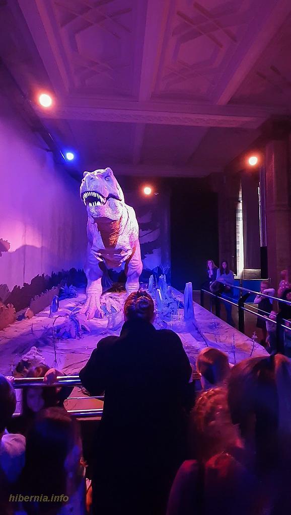 20191101 145548 capture