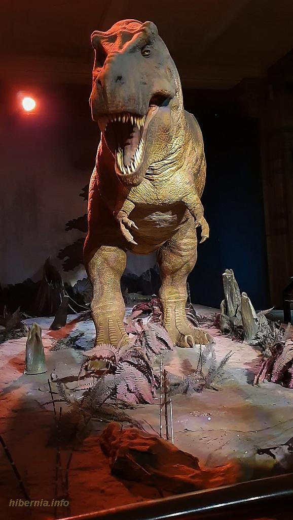 20191101 145636 capture