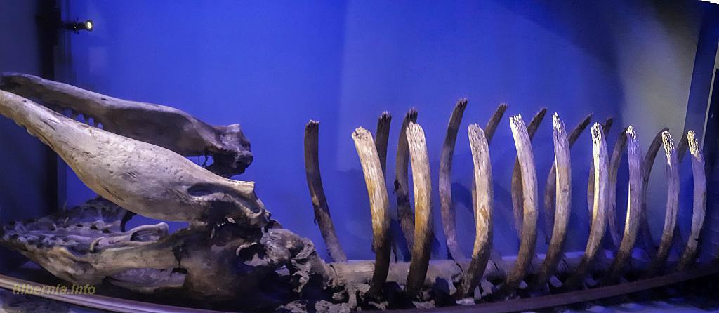 Untitled Panorama11-1