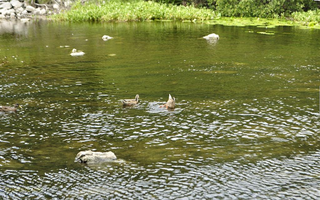 Панорама без названия8