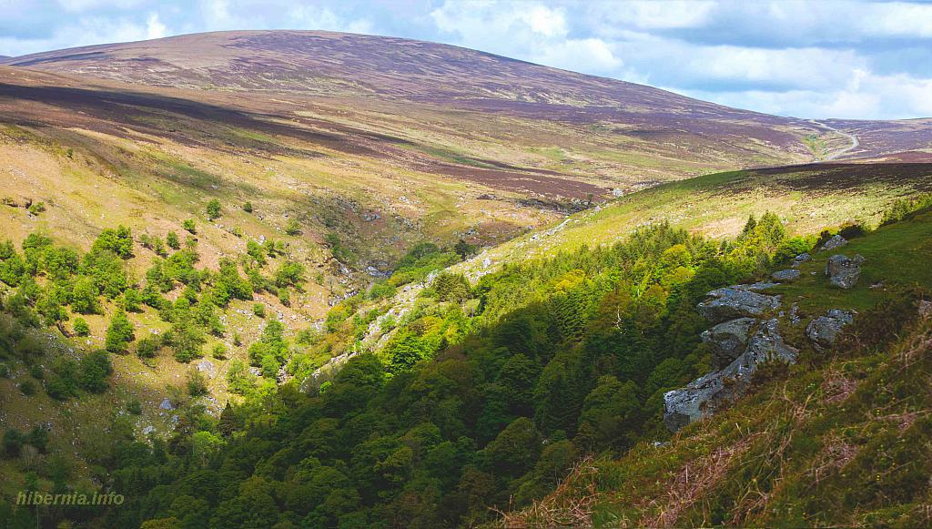 Untitled Panorama12-2