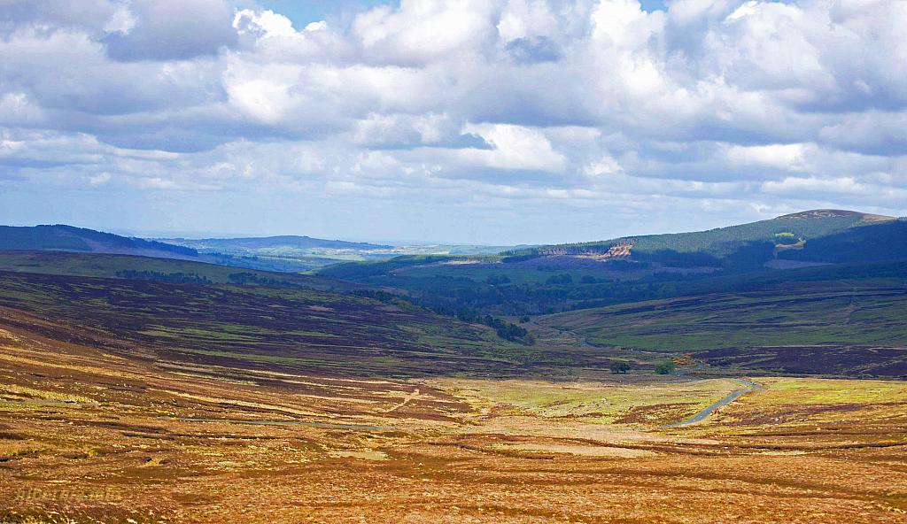 Untitled Panorama3 copy