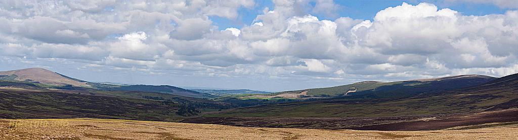 Untitled Panorama4-2