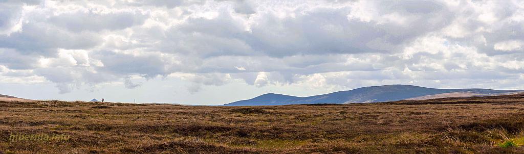 Untitled Panorama5-2-2