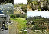 st mullins14