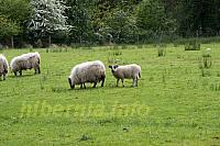 Bohernabreena Waterworks