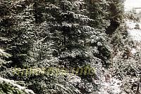 DSC 0956-1910941280-1